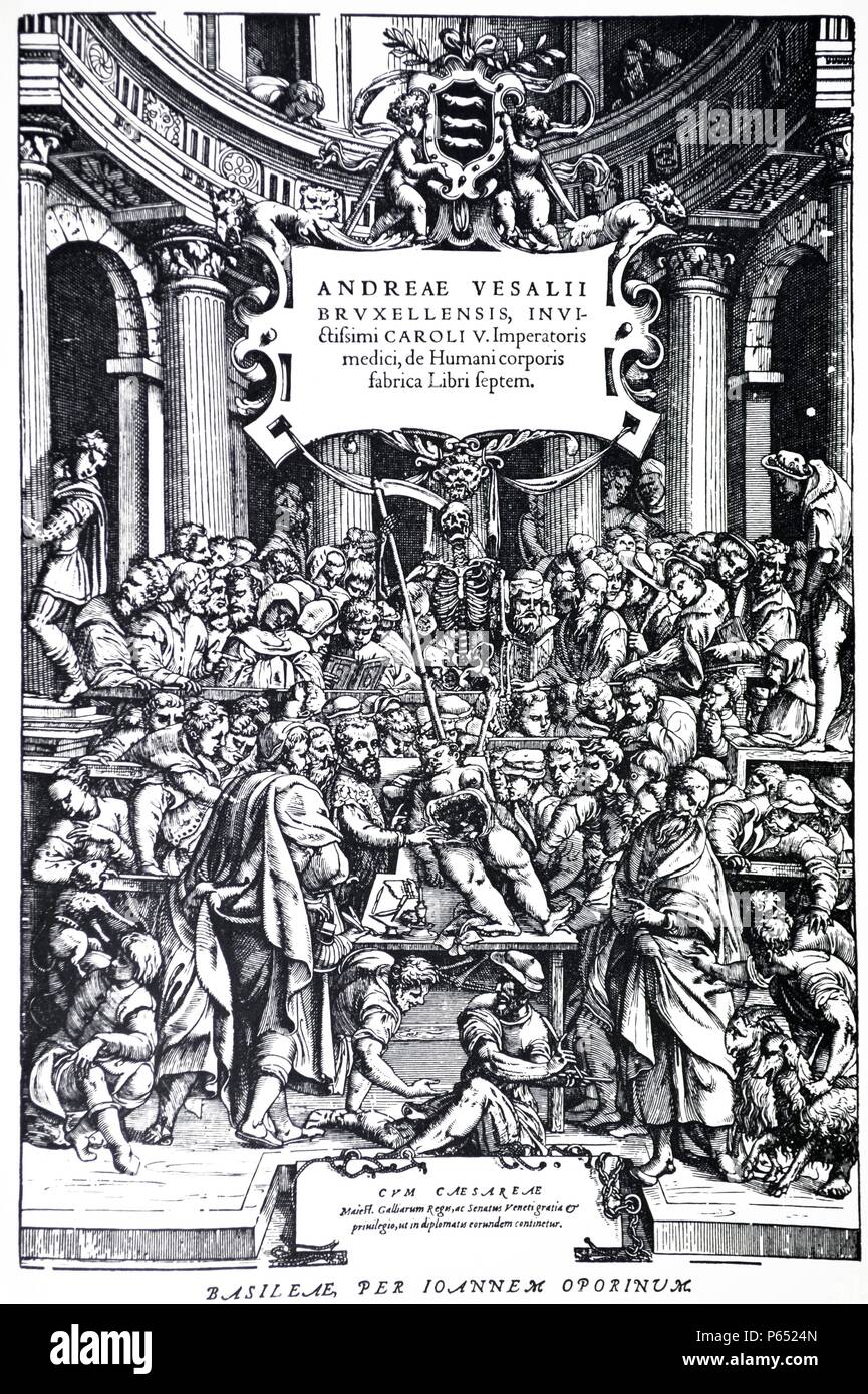 Title Page to the Second Edition of the 'De Humani Corporis Fabrica' by Andreas Vesalius, (1514-1564), Plate 3, 1555. Stock Photo