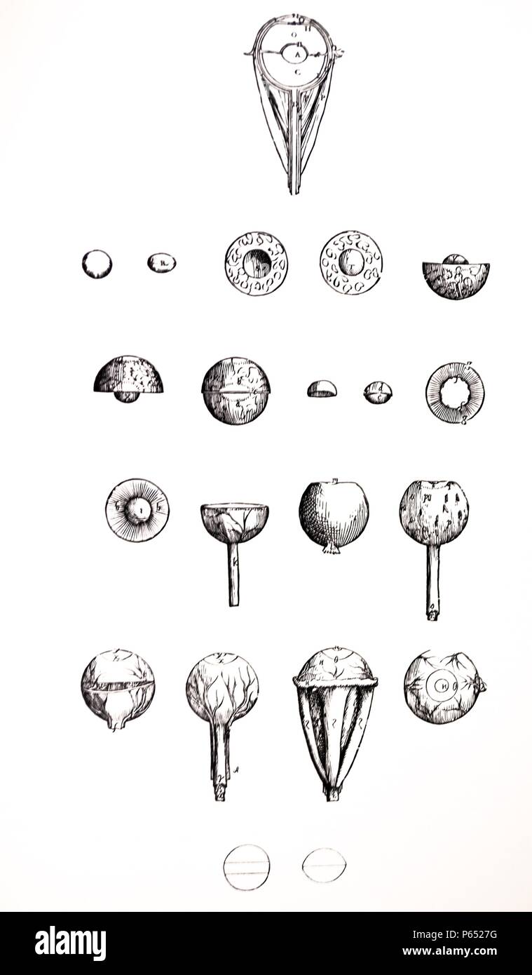 The Plates from the Seventh Book of the De Humani Corporis Fabrica by Andreas Vesalius, (1514-1564) Plate 73 - This figure, the first of those appended to the present chapter, represents one half of the eye divided by a single antero-posterior incision passing through the visual nerve, that is to say, just as if one were to draw half of an onion divided lengthwise from that surface which had been in contact and continuity with the other half. Stock Photo