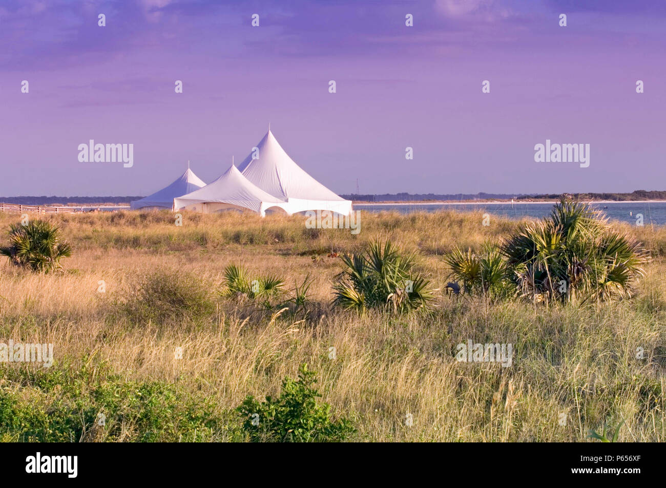 Dunedin Florida Wedding Tent On The Beach At Honeymoon Island