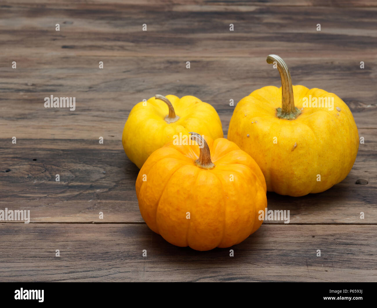 Big and small yellow pumpkins and one medium orange pumpkin on dark ...