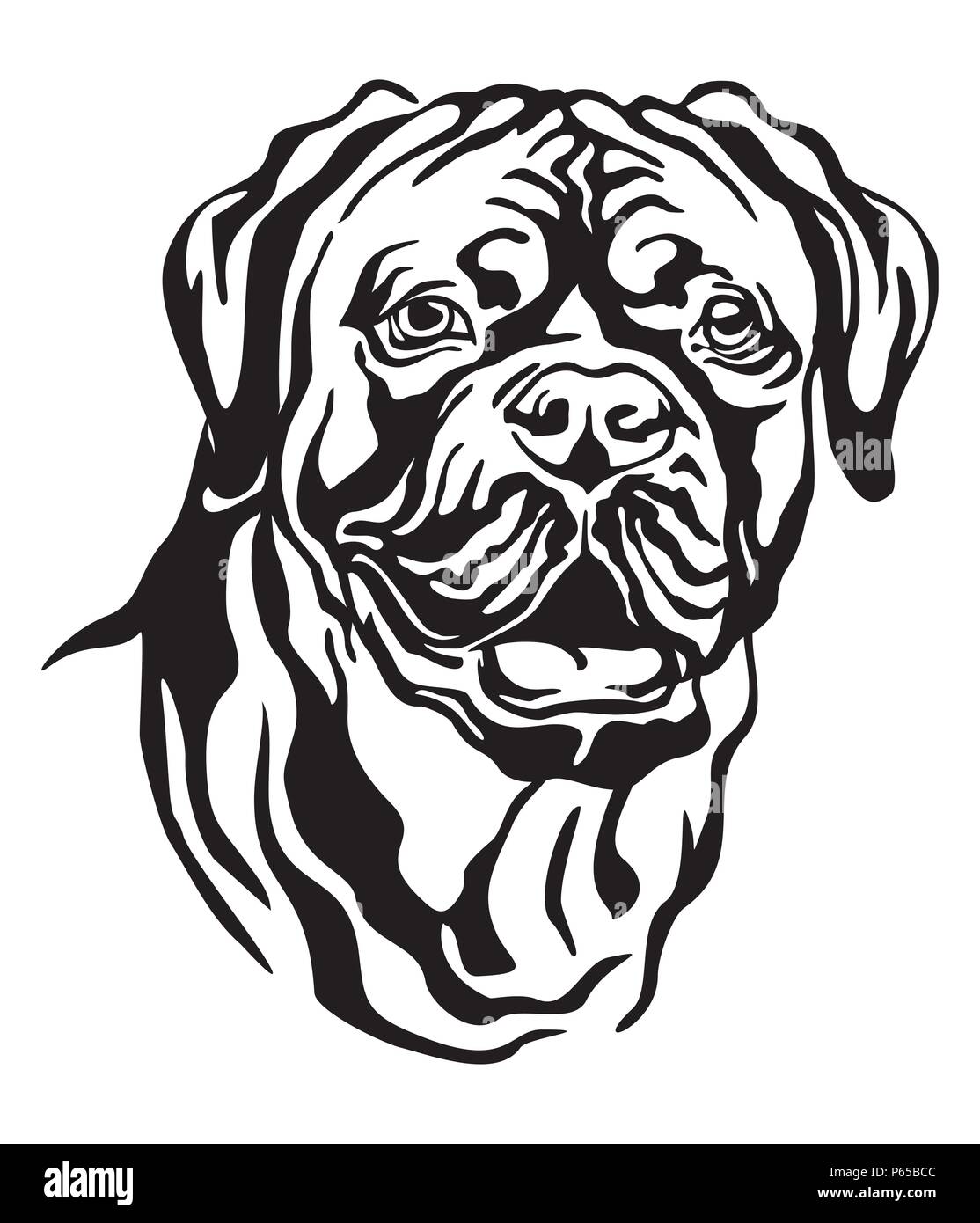 Decorative Portrait Of Dog Dogue De Bordeaux French Mastiff Vector Isolated Illustration In Black Color On White Background Image For Design And Stock Vector Image Art Alamy