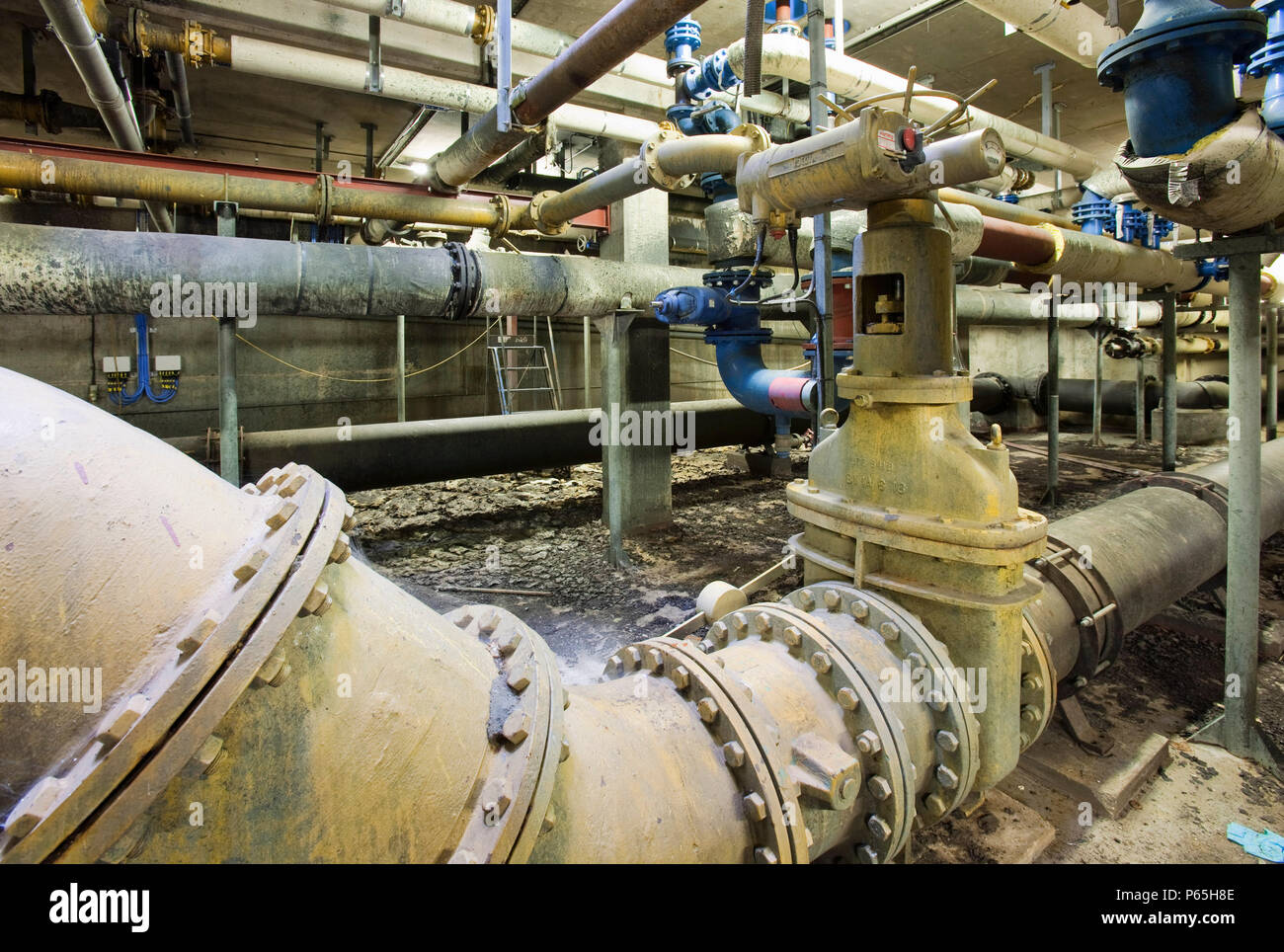 Biodigesters at United Utilities Daveyhulme plant which process's all