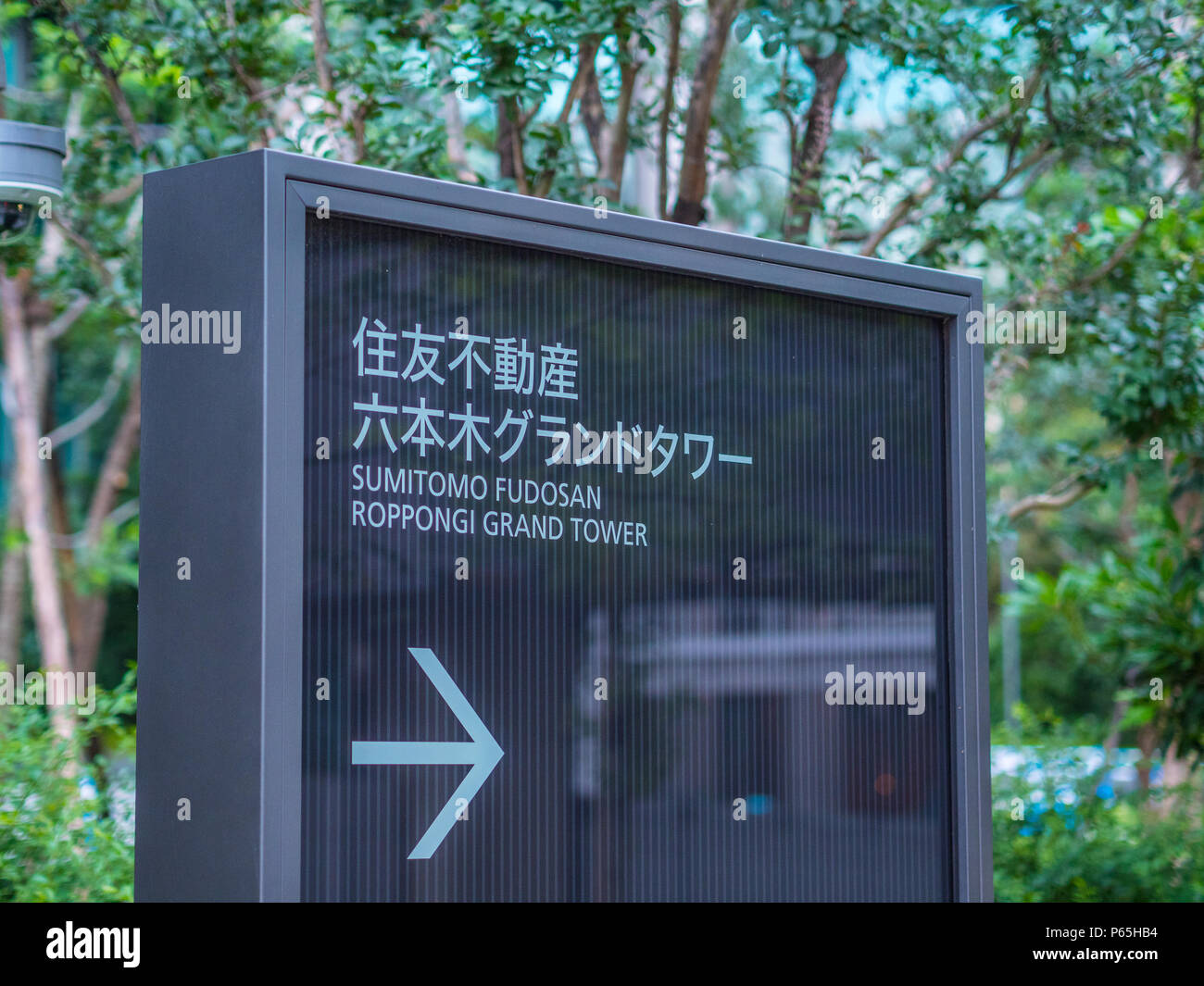 りん様／V-log in Tokyo(1～5) 6b5a54eaa1c11c9769c4661181655d