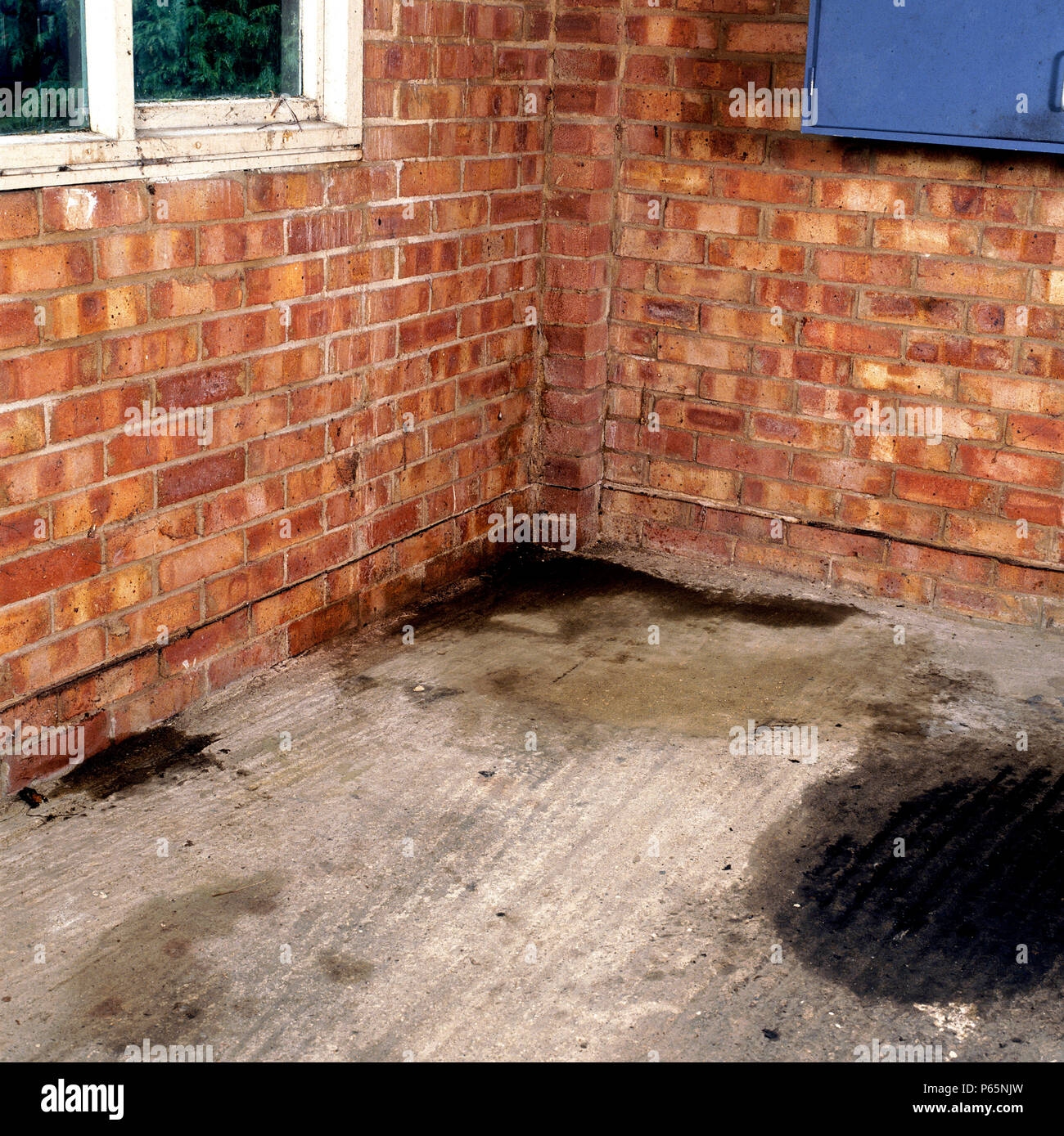 Brick Wall And Concrete Floor In Need Of Repair Signs Of Rising