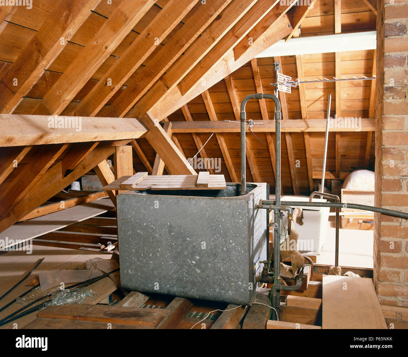 Can a Tankless Water Heater Survive in an Attic?