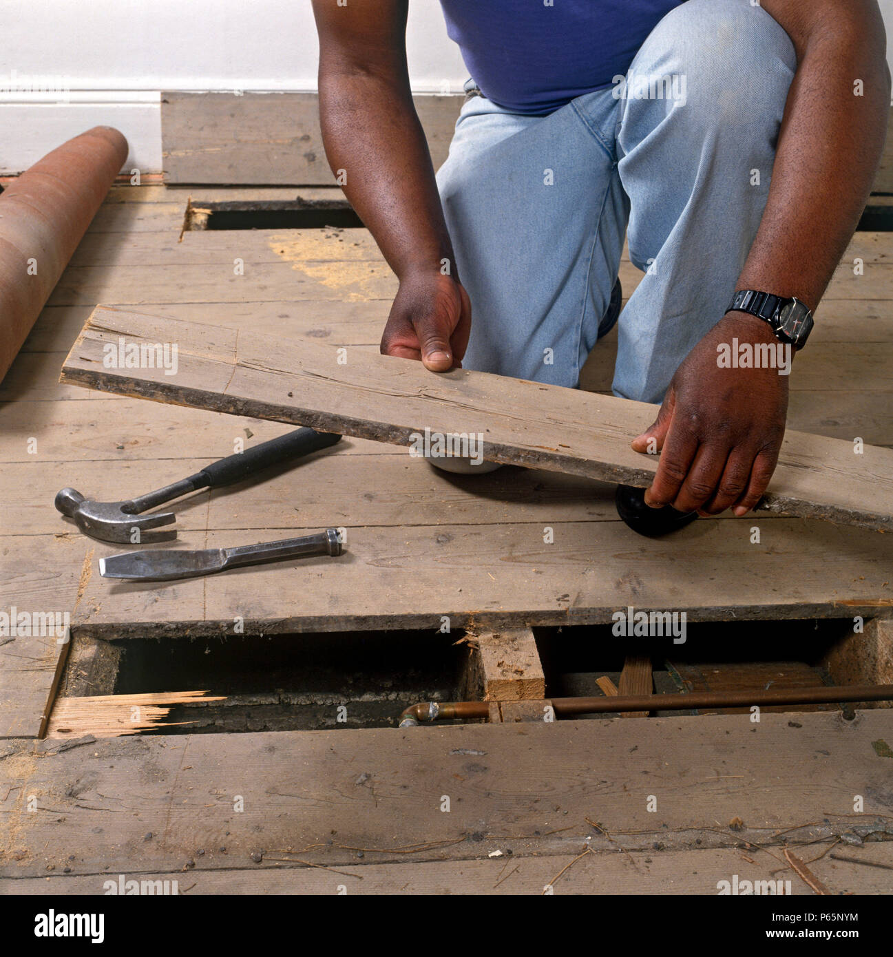 Replacing a damaged floor board Stock Photo Alamy