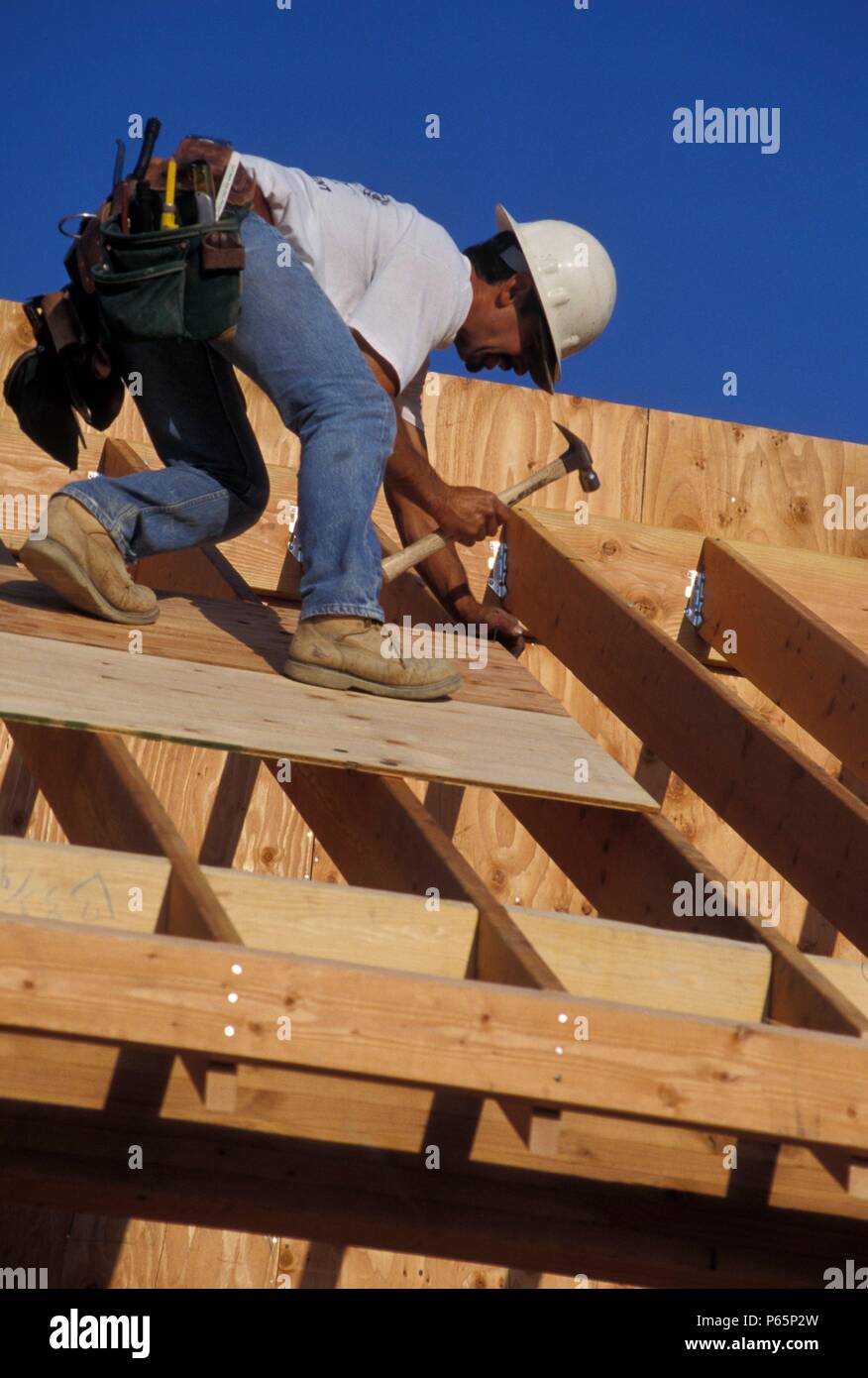 Carpenter nailing roof sheathing on rafters Stock Photo