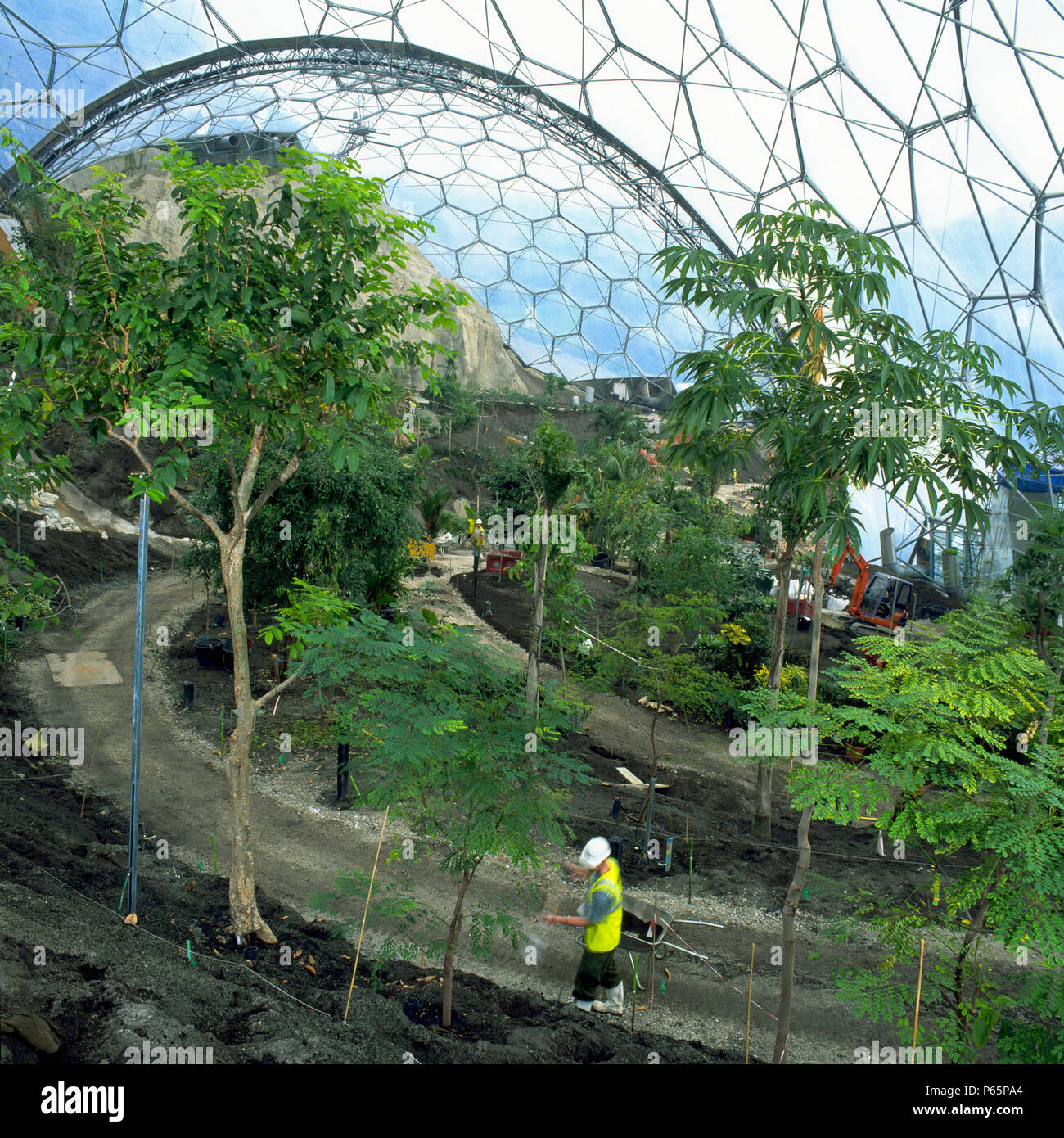 Landscaping works inside biome at the Eden Project, Cornwall, United Kingdom. Designed by Nicholas Grimshaw and Partners. Stock Photo