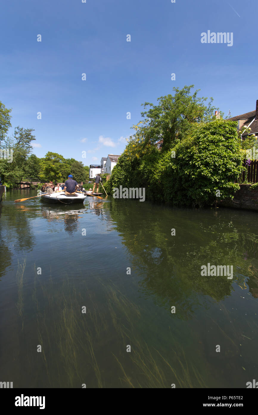 City of Canterbury, England. Picturesque summer view of tourists on a punting tour of the  Great Stour, at Canterbury’s Abbot’s Mill Garden. Stock Photo