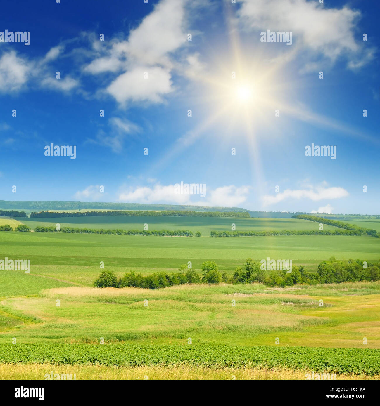 green field and sun on blue sky Stock Photo - Alamy