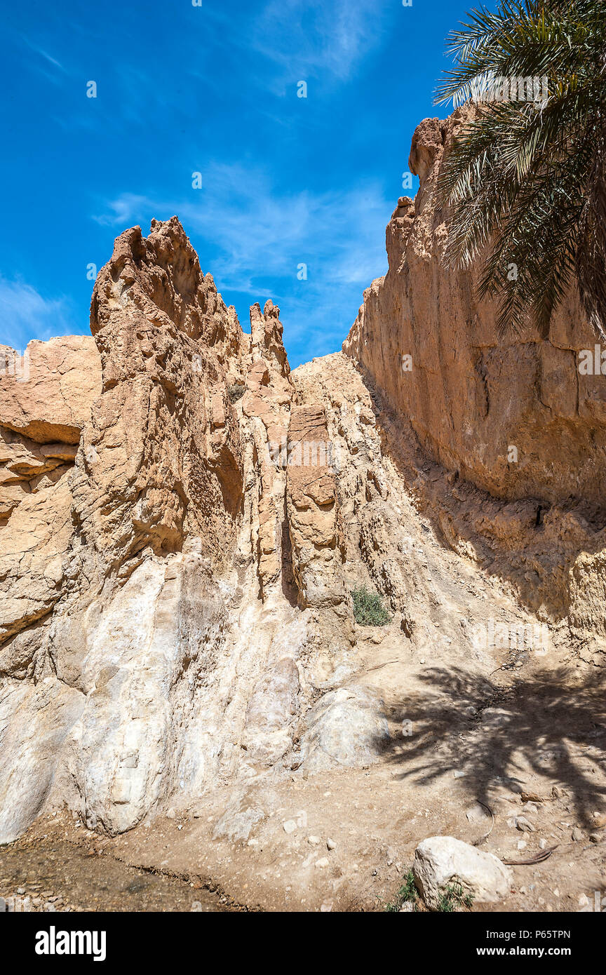Tunisia Near The Town Of Towser The Oasis Of Shebik Is Surrounded By Barren Plains Hot 