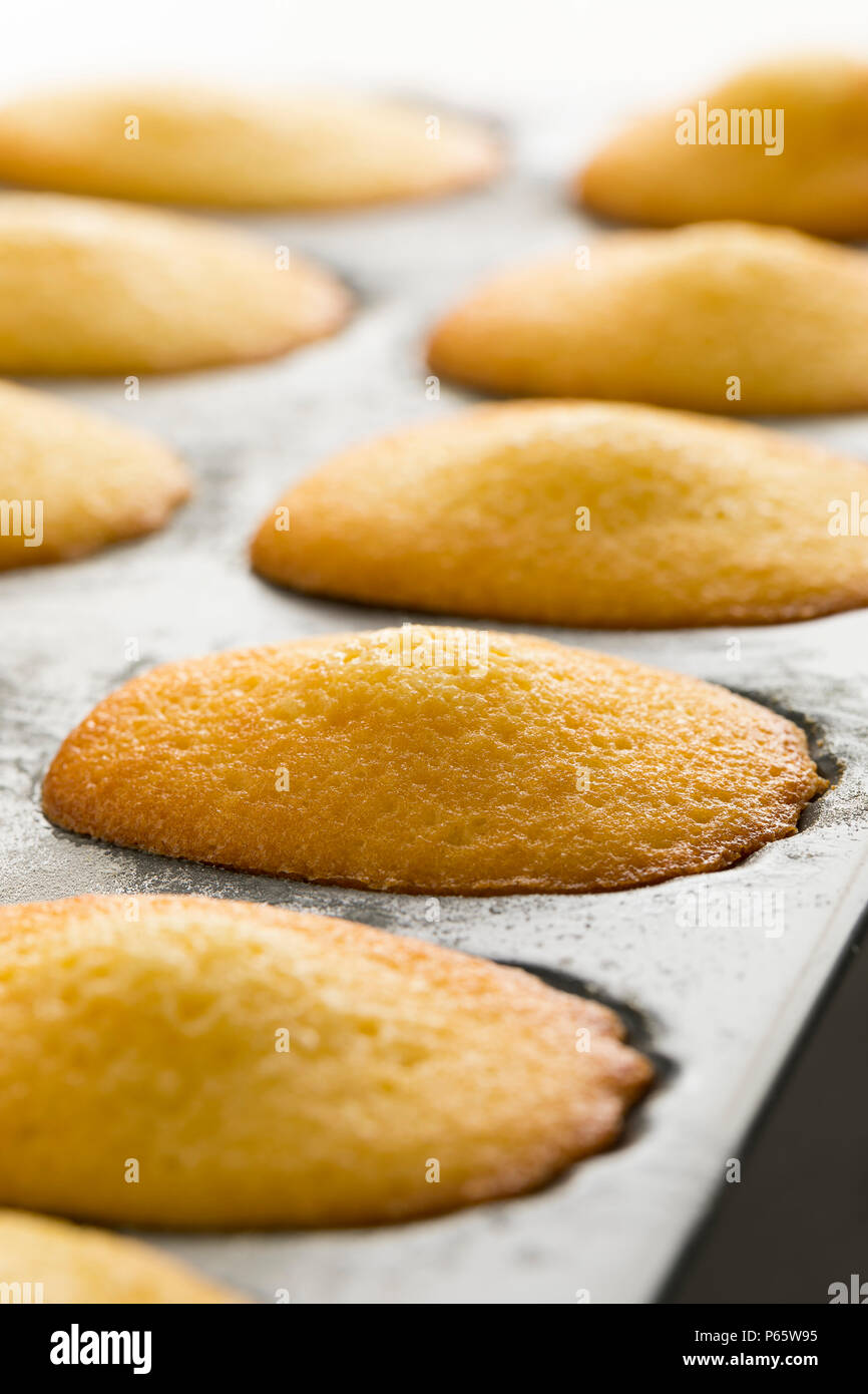Traditional fresh baked French madeleines on a pan Stock Photo Alamy