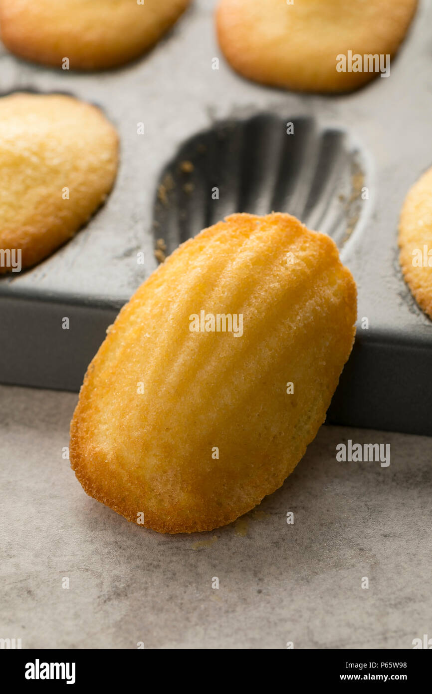 Traditional fresh baked French madeleines on a pan and one close up Stock Photo