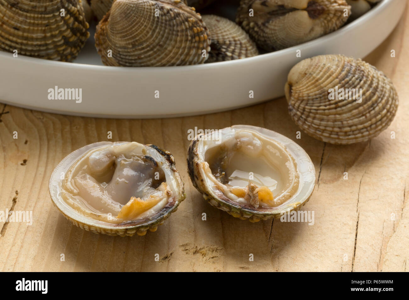 Venus Clams High Resolution Stock Photography and Images Alamy