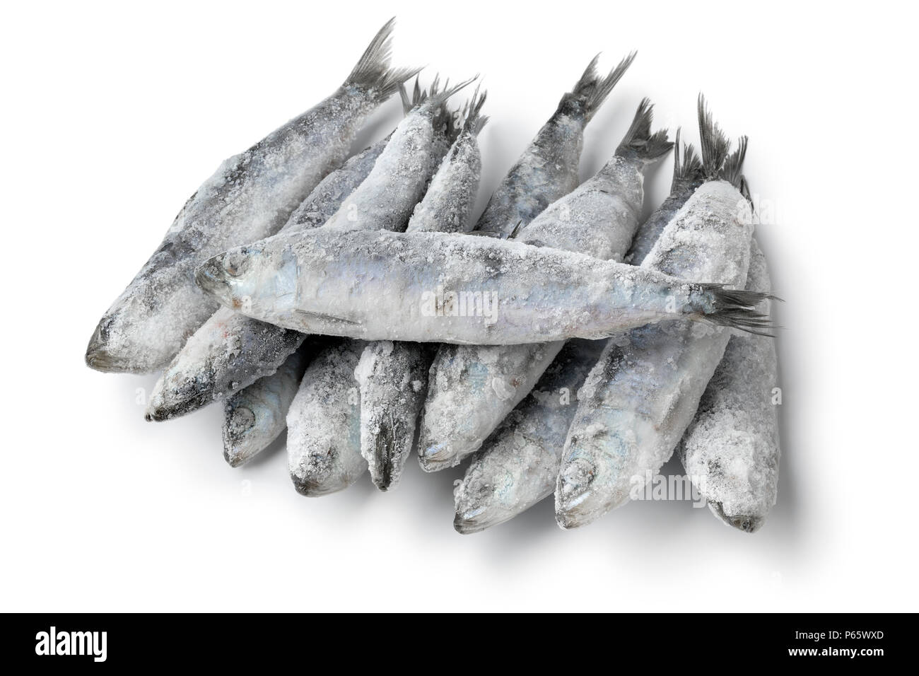 Heap of fresh raw frozen sardines isolated on white background Stock