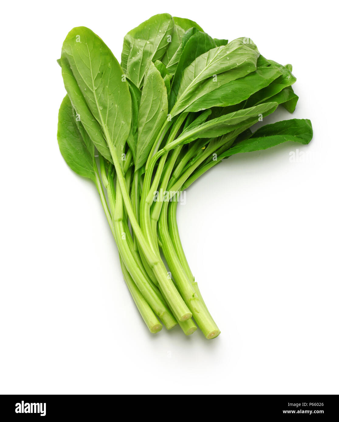 choy sum, chinese vegetable Stock Photo Alamy