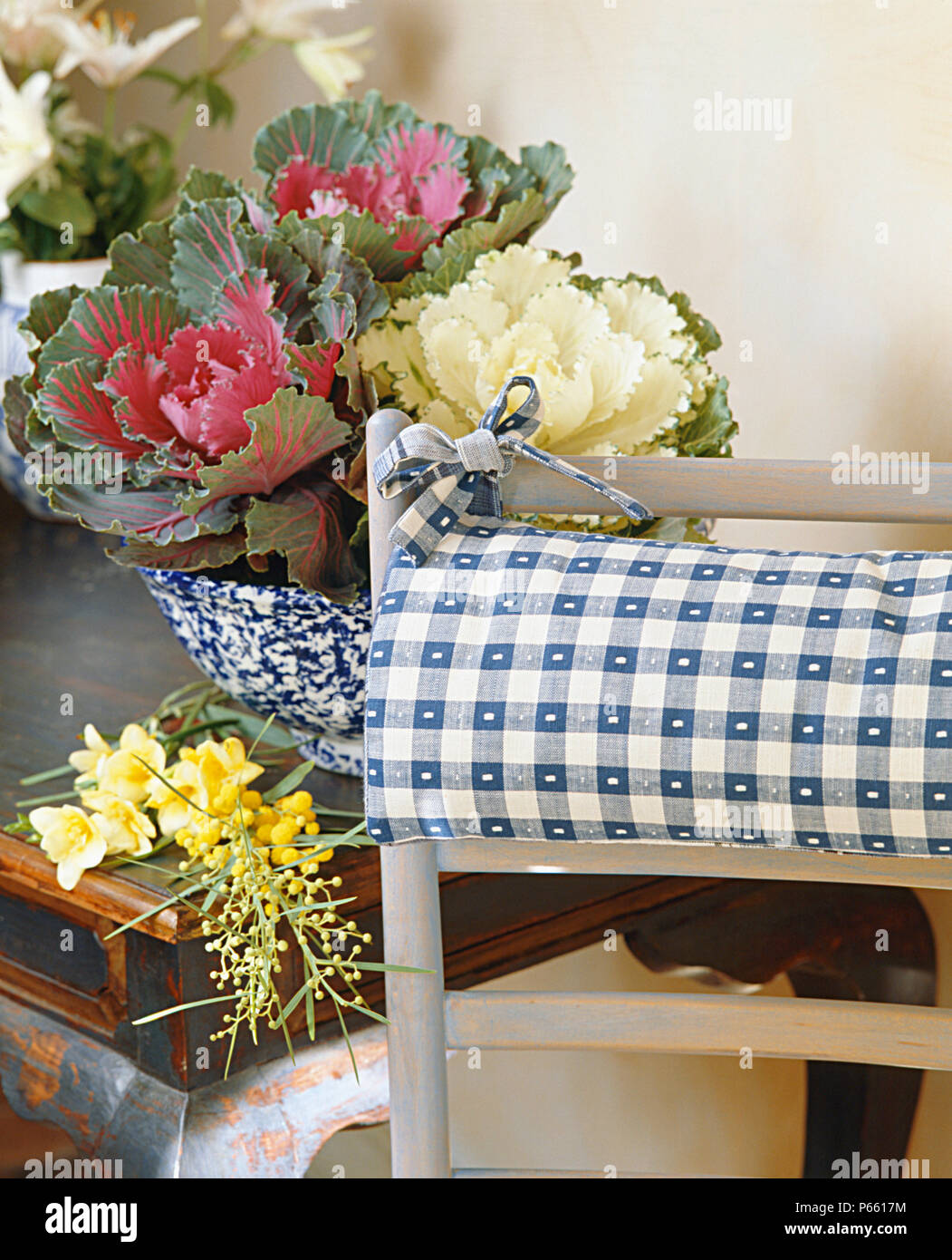Close-up of limewashed chair with blue checked cushion beside table with arrangement of ornamental cabbages Stock Photo