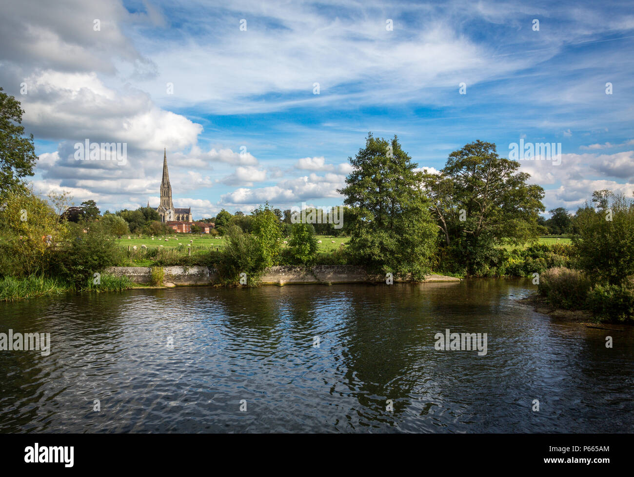 Salisbury Cathedral viewed from the Meadows Stock Photo Alamy