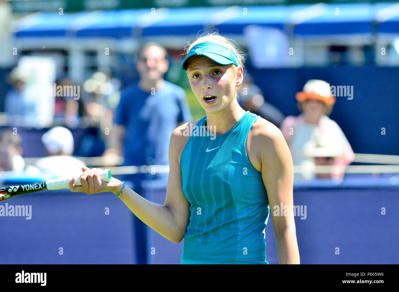 Donna vekic hires stock photography and images Alamy
