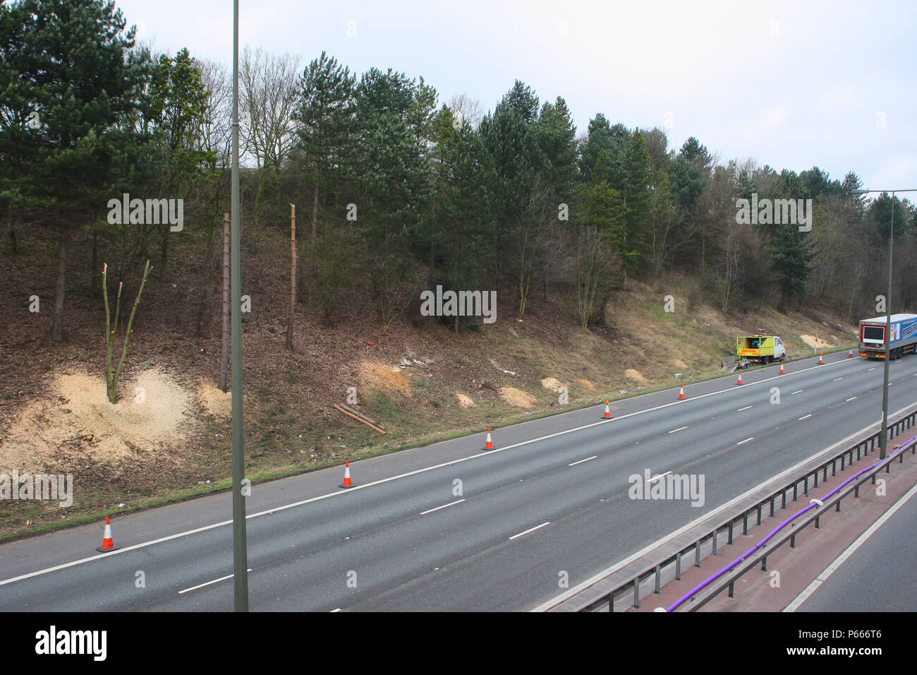 Tree clearance during M1 widening programme between junctions 25 and 28 ...