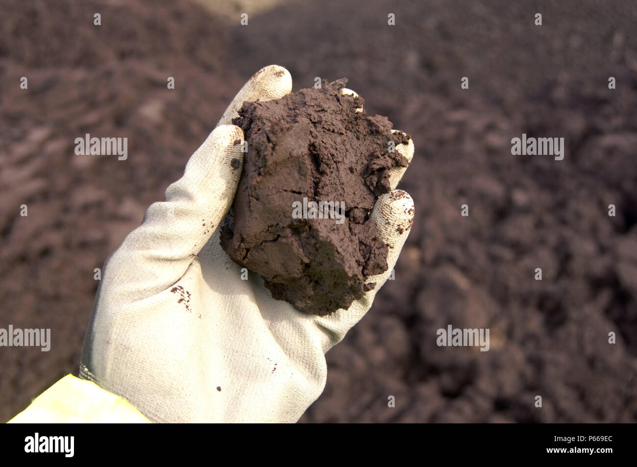 Hand with gloves holding sample of earth on contaminated Brownfield land, North East England, United Kingdom Stock Photo