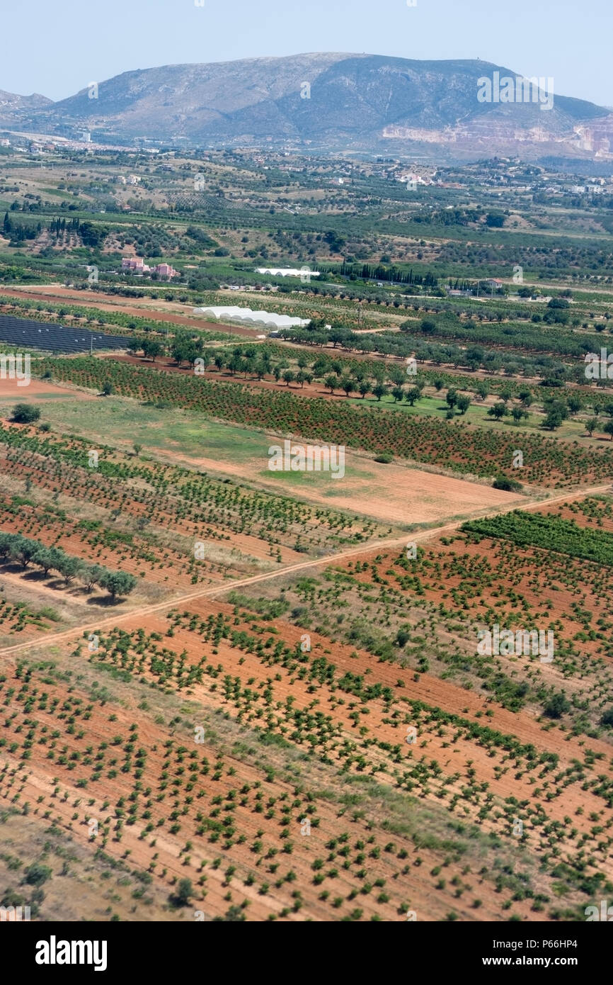 View over the olive and grape crops in Greece Stock Photo