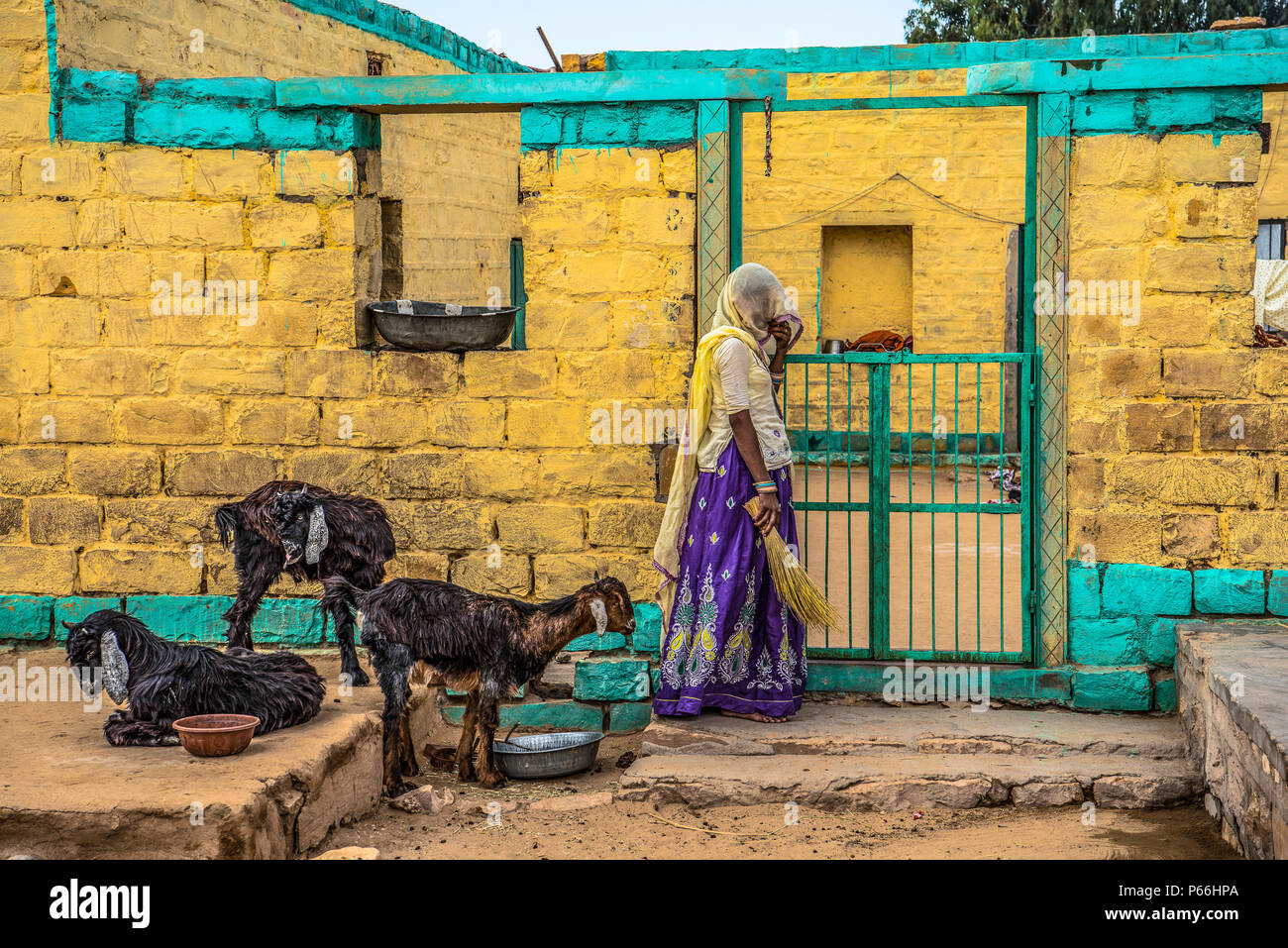 INDIA RAJASTHAN Village life in Thar desert Stock Photo