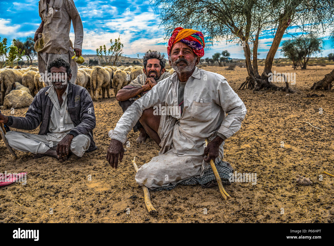 INDIA RAJASTHAN Thar desert A shepherd with his flock Stock Photo