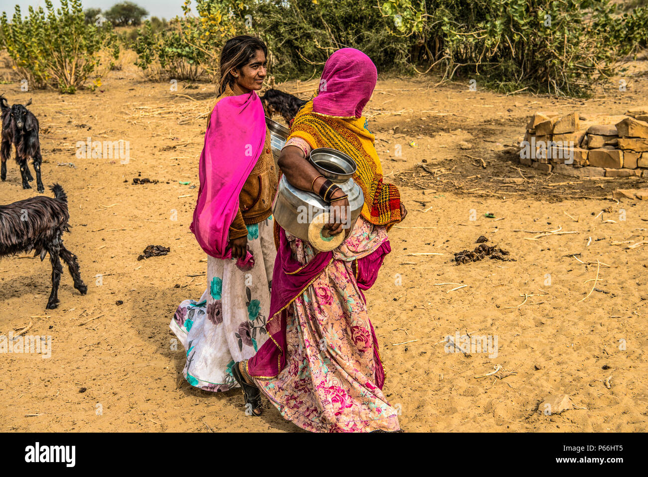 INDIA RAJASTHAN Village life in Thar desert Stock Photo