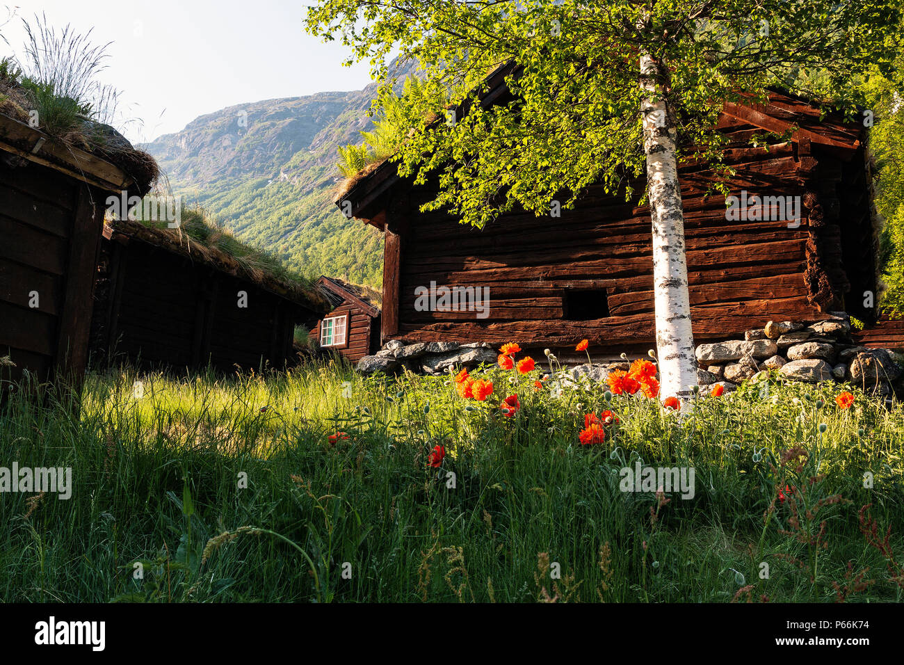 Summer at Breng seter on your way along lake Lovatnet to Bødalen and Kjennsdalen glaciers in Stryn municipality, Norway Stock Photo
