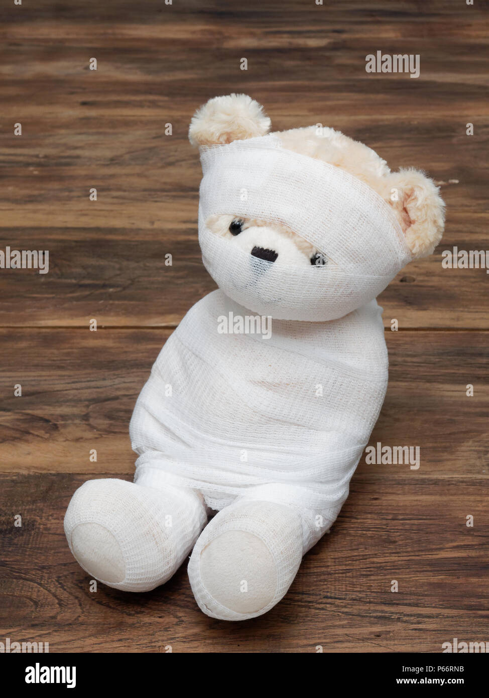 teddy bear costume