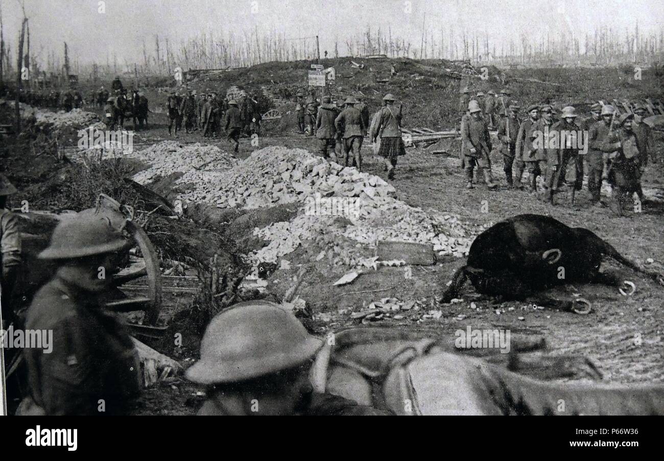 Dead horse is passed by British soldiers and captured German prisoners of war at Flanders, Belgium 1917 Stock Photo