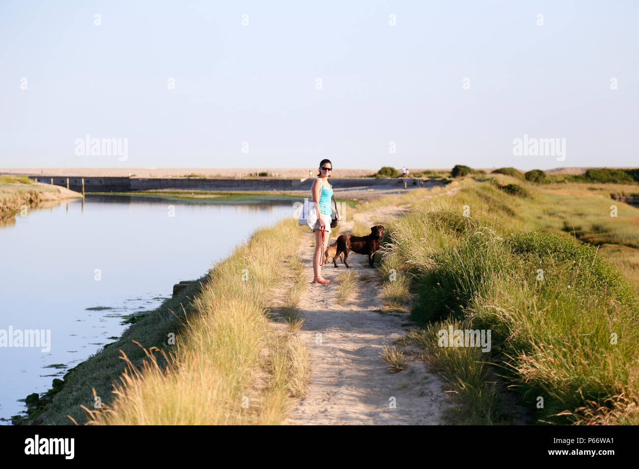 Young woman walking dogs along path at Cuckmere Haven Stock Photo