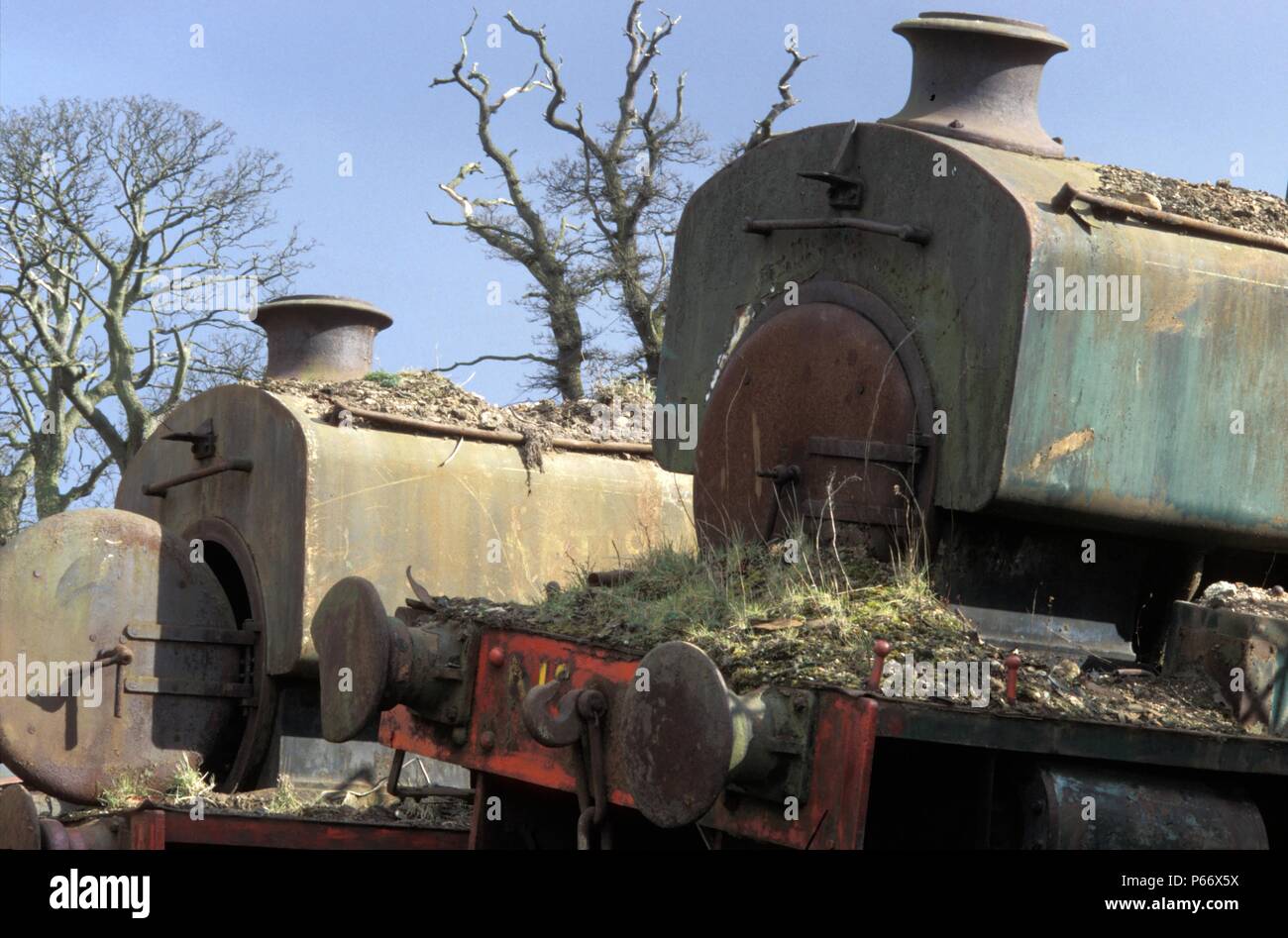 A pair of Andrew Barclay 0-4-0STs at Thomas Muir's scrapyard at Easter Balbeggie, Thornton, Fife. Right, NCB No.6, Fife area works number 2261, 1947;  Stock Photo