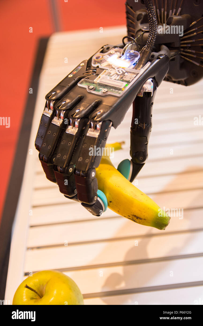 Dexterous hand (robotic sensitive hand) from Shadow Robot Company, holding with care a banana. In GR-EX summit (Global Robot Expo). Stock Photo
