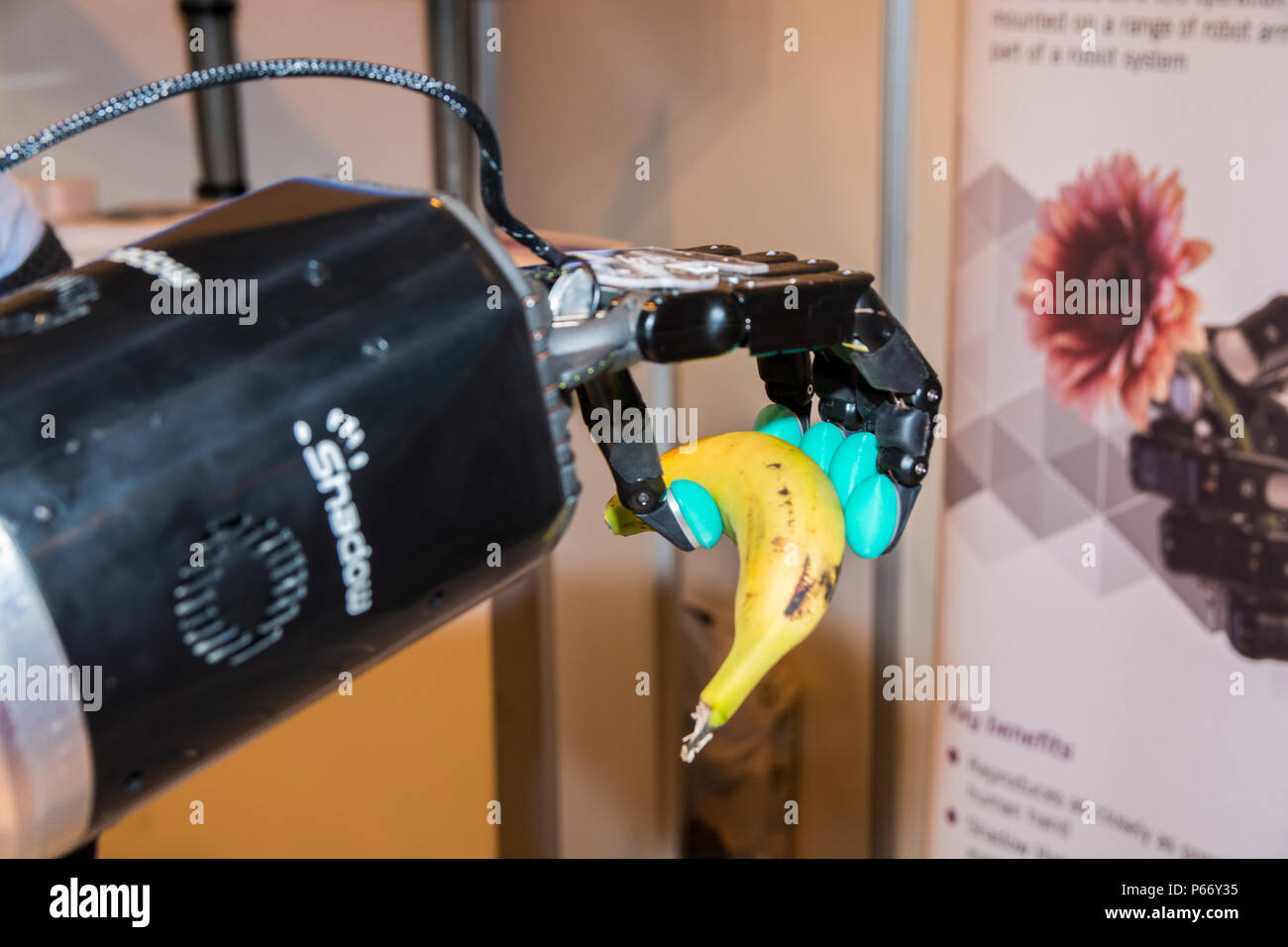 Dexterous hand (robotic sensitive hand) from Shadow Robot Company