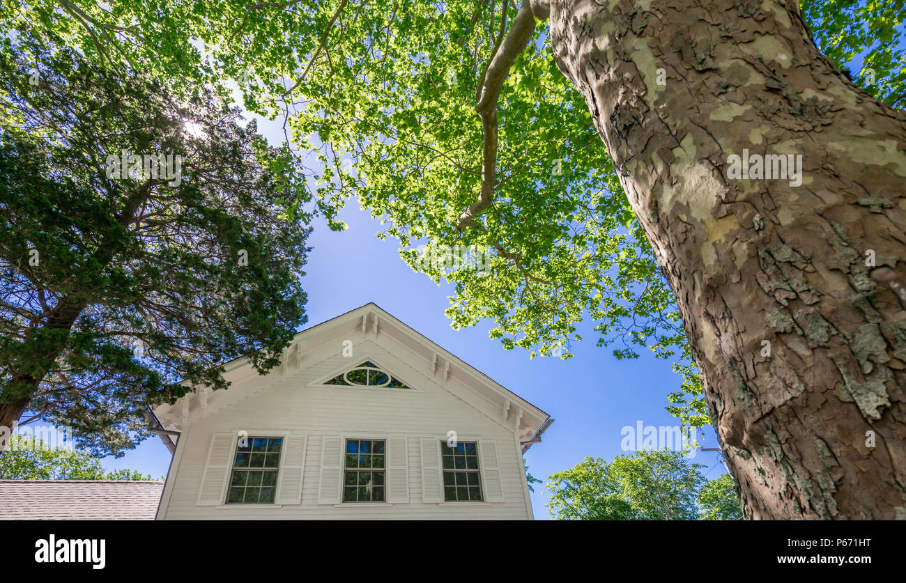 looking up at the facade of an old home with a large tree on a sunny day Stock Photo
