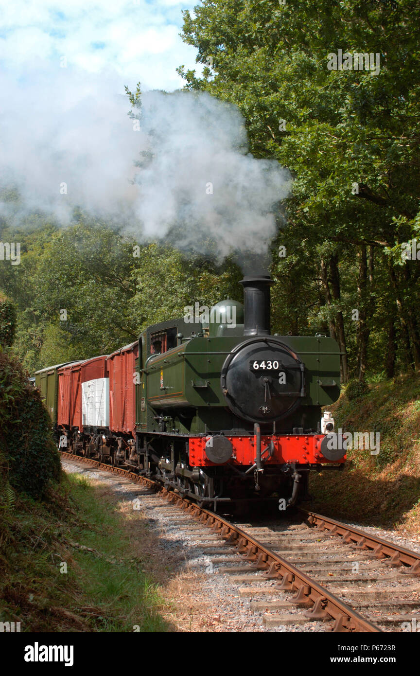 A photographic charter sees 6430 leave Danycoed with a goods train on the Gwili Railway. Summer 2004. Stock Photo