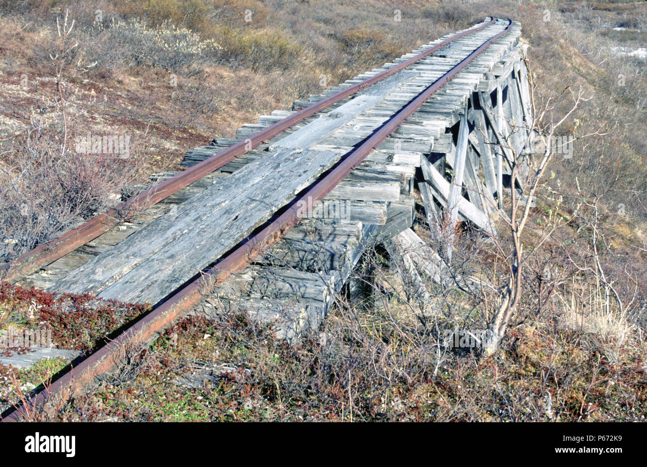 A typical American style wooden trestle viaduct on the abandoned Wild Goose Railway in the Arctic Circle of Alaska shown in June 2000. Stock Photo
