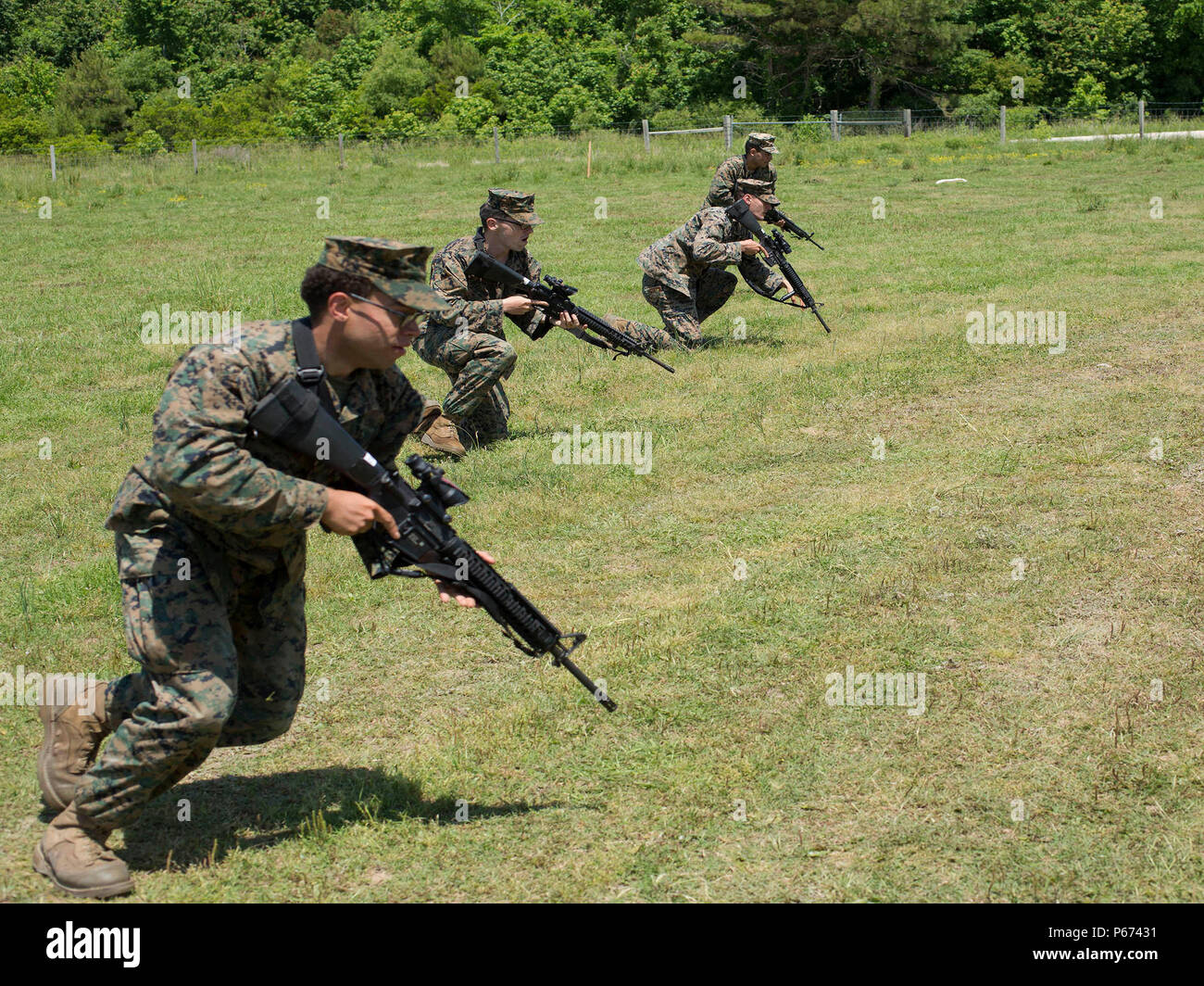 Marines from the 2nd Marine Logistics Group participate in a buddy ...