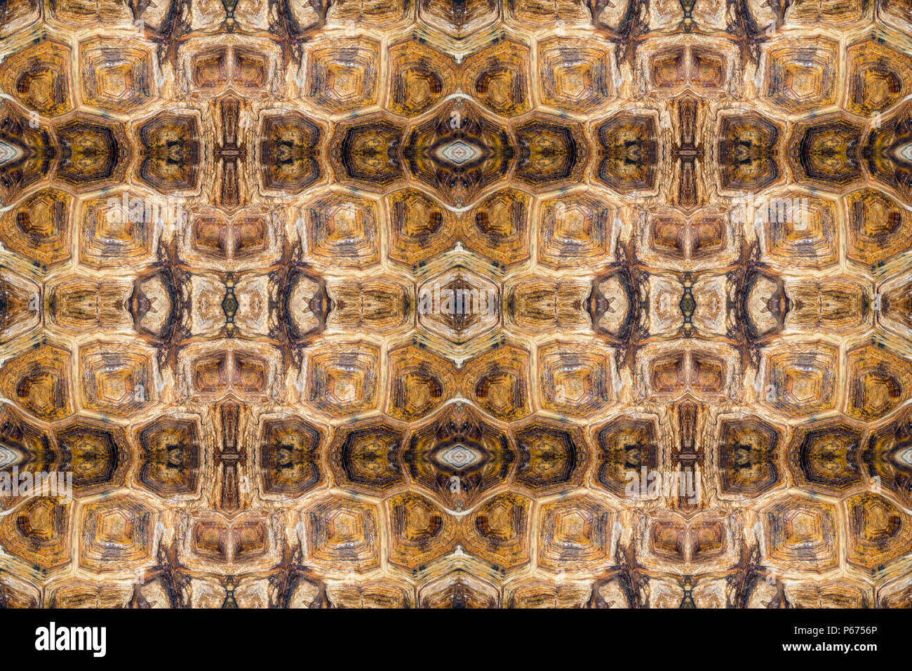 turtle shell texture symmetrical background closeup image Stock Photo