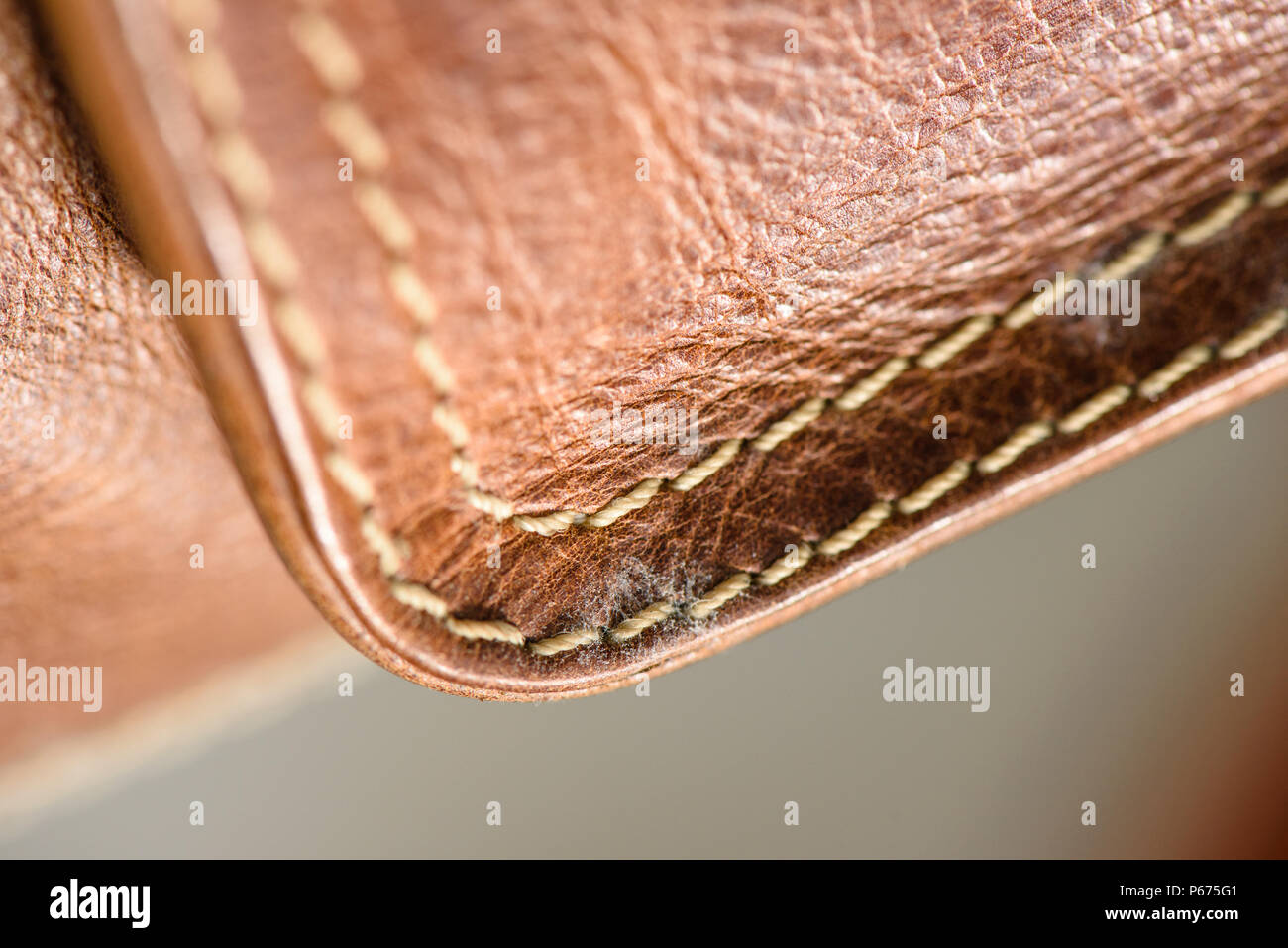 mold on old brown leather bag, fungus on leather bag Stock Photo Alamy