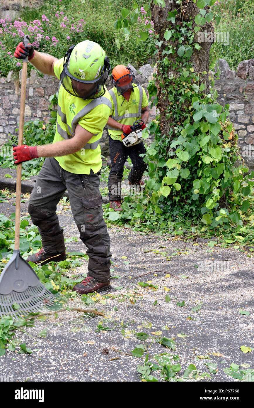 Man, tree surgeon, racking up leaves and tree branches when tidying up after tree pruning Stock Photo