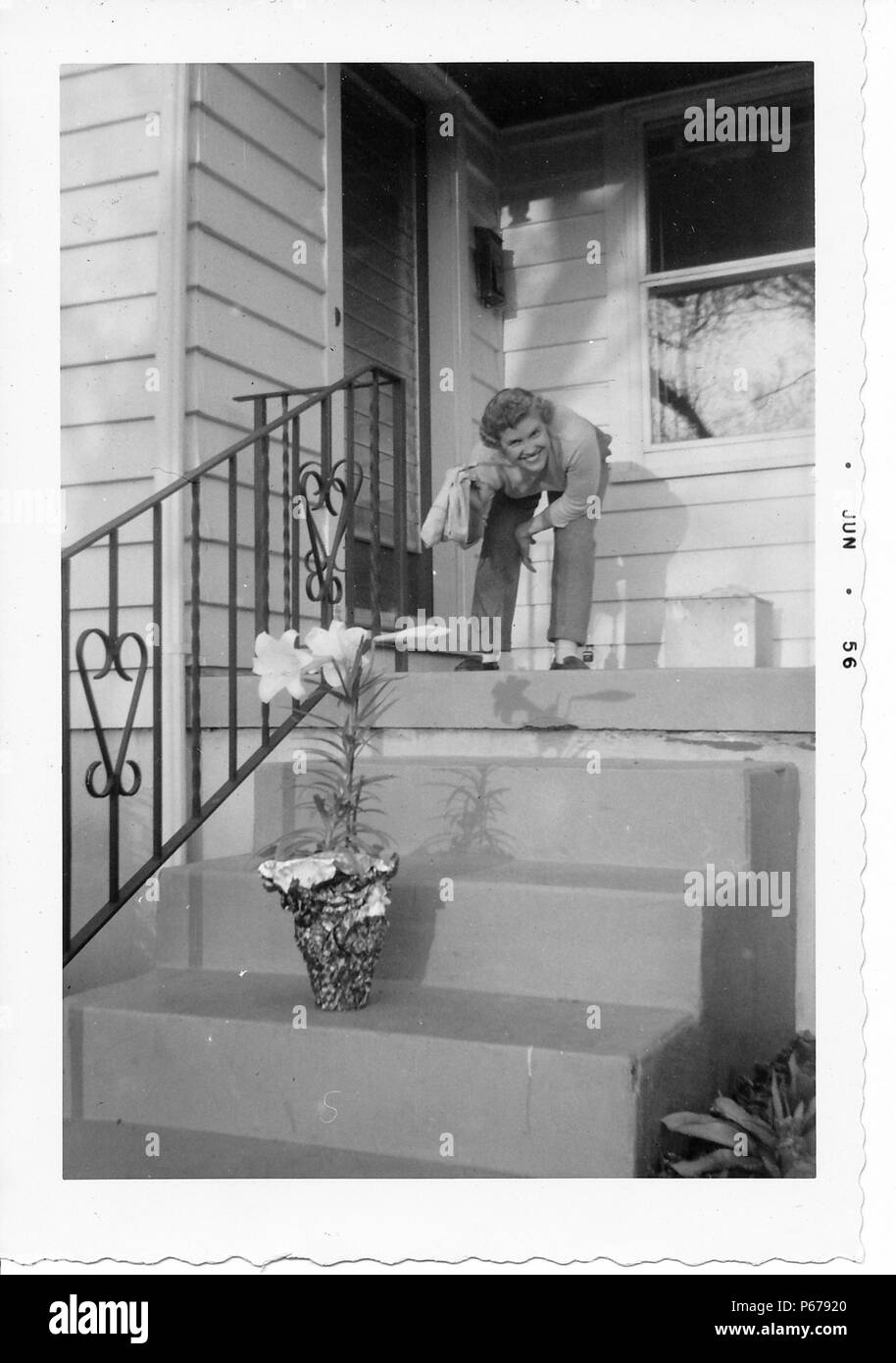 Black and white photograph, shot from a low angle, showing a smiling, blonde, curly-haired woman, wearing trousers and holding material in one hand, leaning over at the waist, at the top of a small flight of stairs leading to the exterior door of a house, with a tall, potted, Easter Lily (Lilium longiflorum) visible on a lower stair riser, likely photographed in Ohio, June, 1956. () Stock Photo