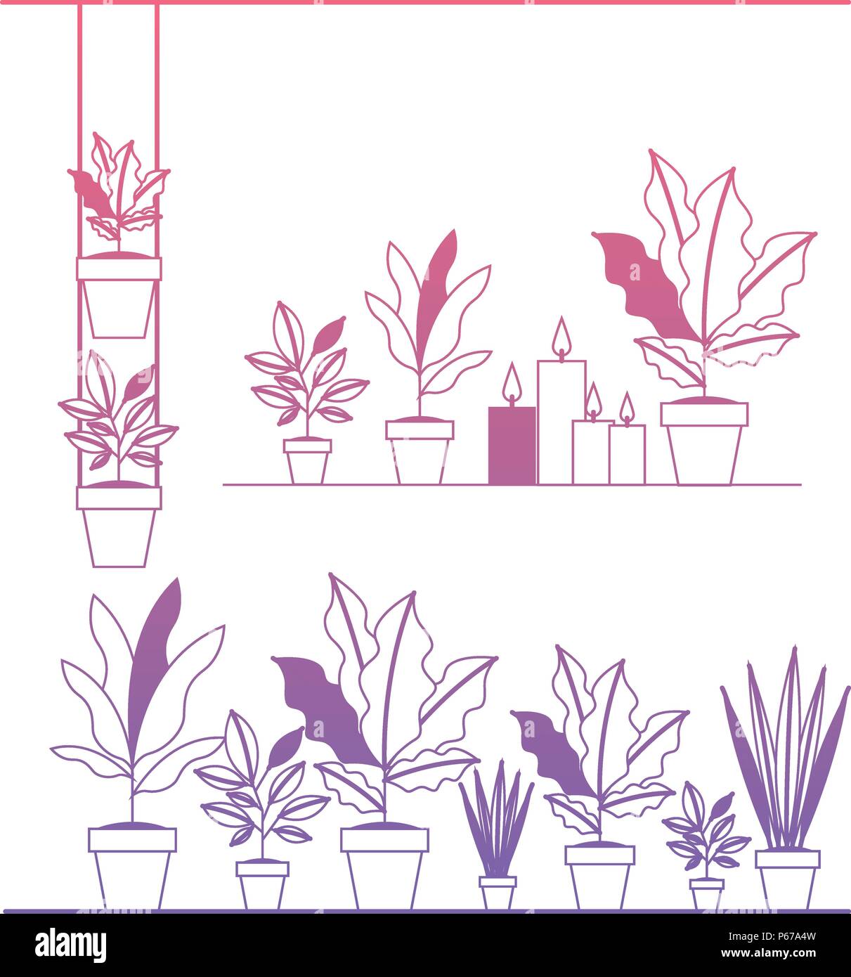shelf with houseplants scene Stock Vector Image & Art - Alamy