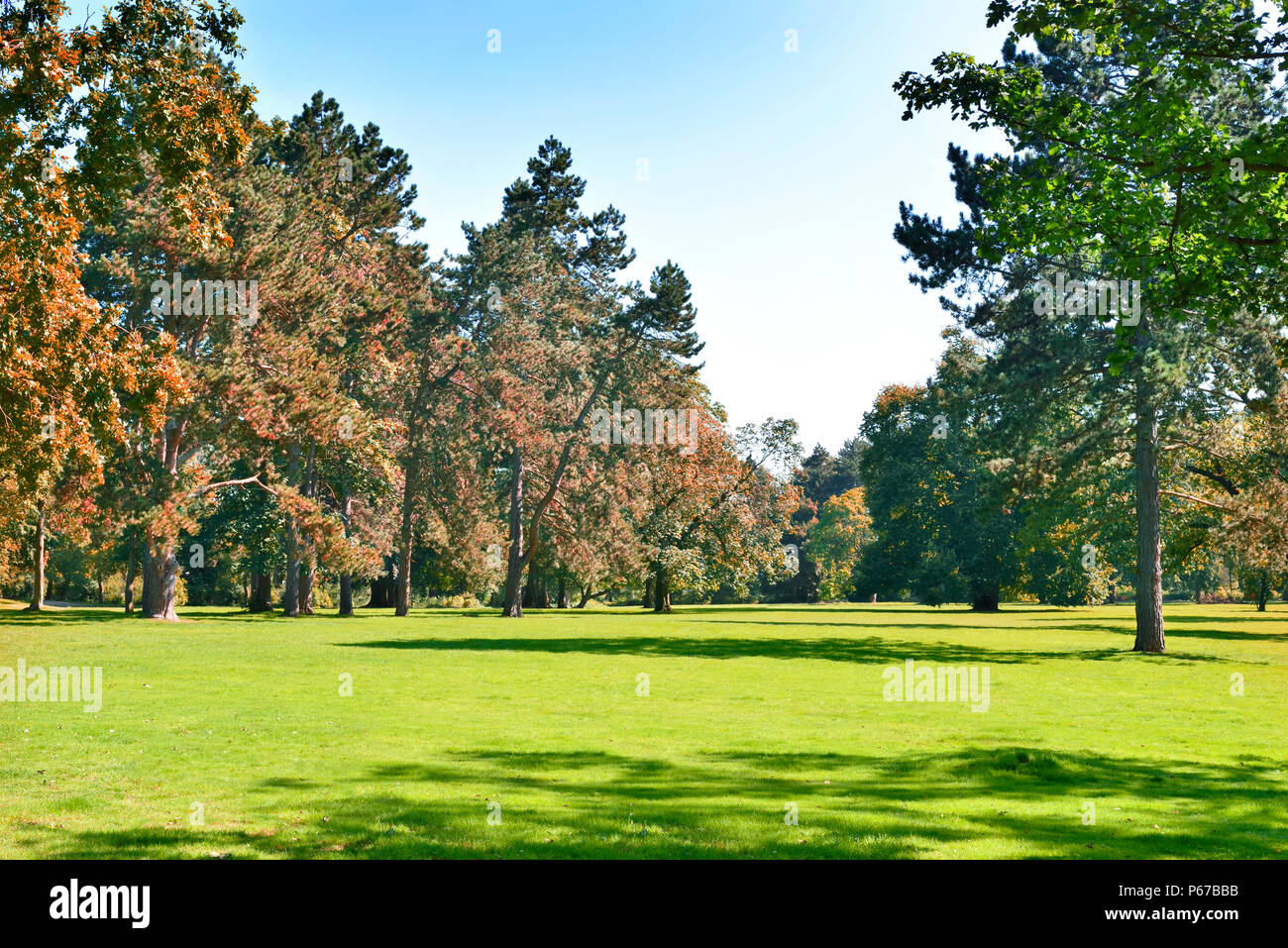 Green sky meadow nature hi-res stock photography and images - Alamy
