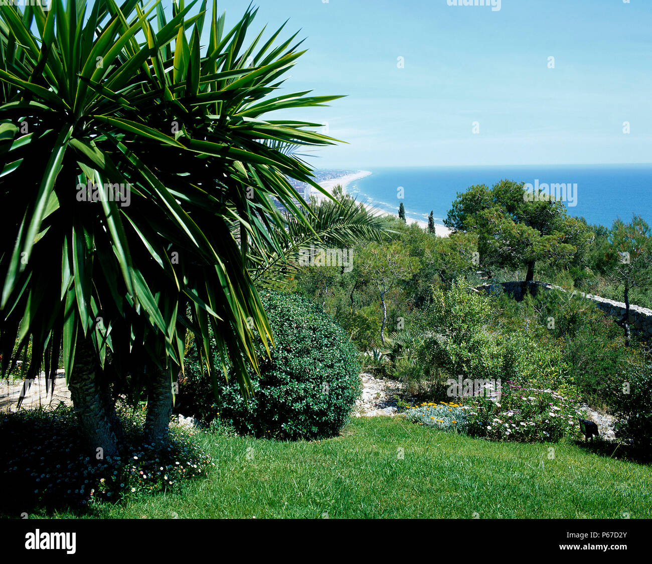 Vegetation view hi-res stock photography and images - Alamy