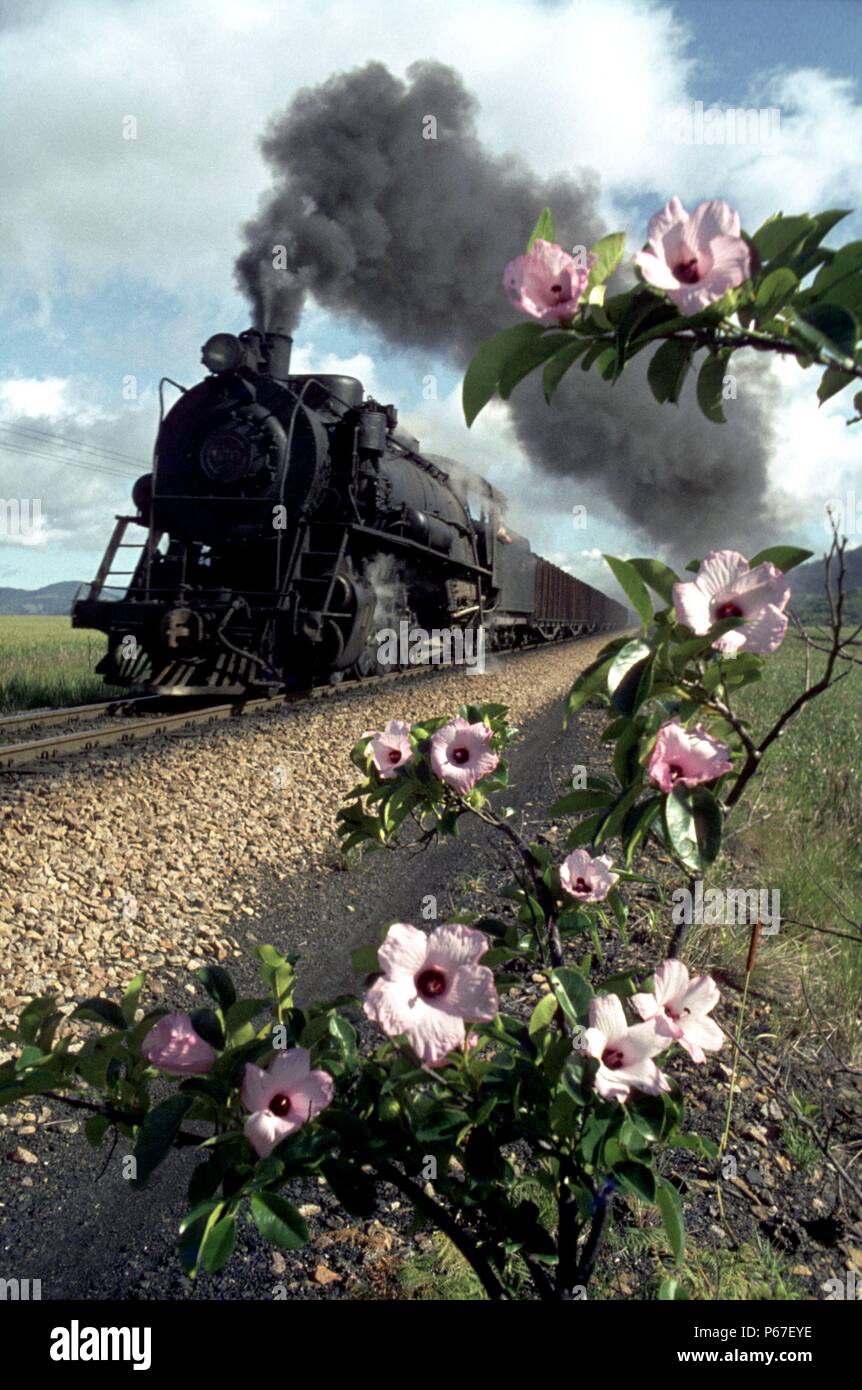 Built by baldwin hires stock photography and images Alamy