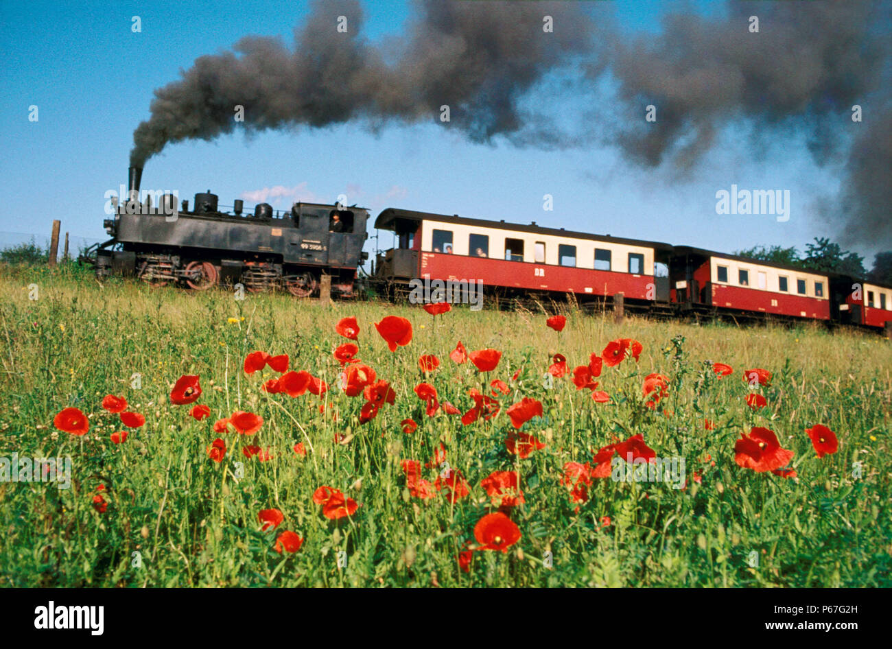 Mallet hires stock photography and images Alamy