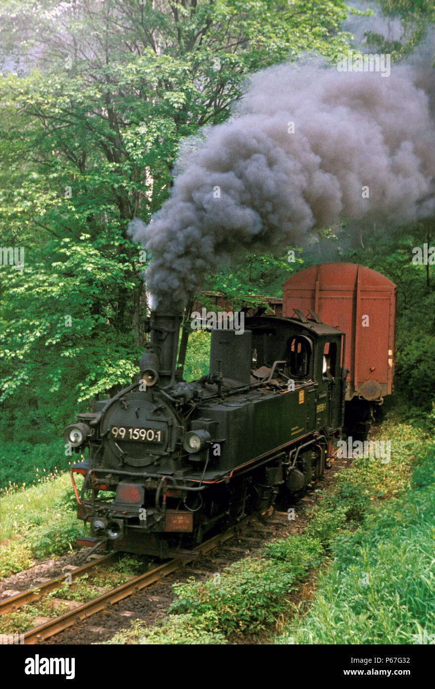 Germany's Wolkenstein-Johstadt line with Meyer 0-4-4-0T No.991590.1 approaches Grobruckerswalde on Monday 13th June 1977. The standard gauge wagon bei Stock Photo